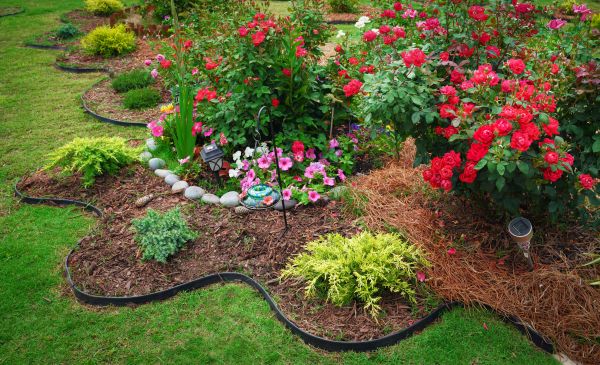 Garden Bordering