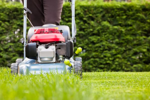 Scheduled Grass Trimming