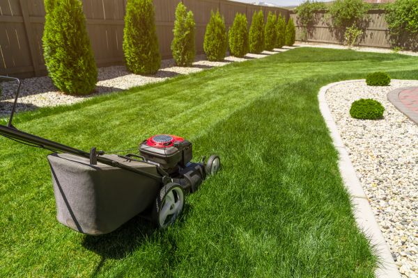 Monthly Grass Cutting