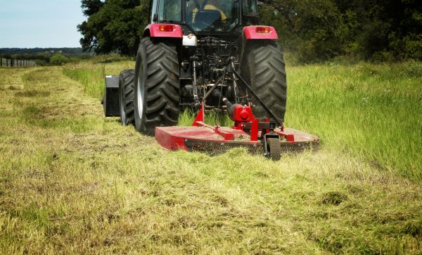 Brush Clearing Service - Brush Clearing Service Visalia, California