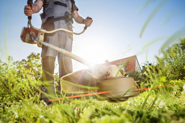 Grass Trimming