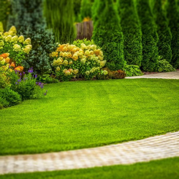 Landscaping Improvement - Landscaping Improvement Geauga County, Ohio