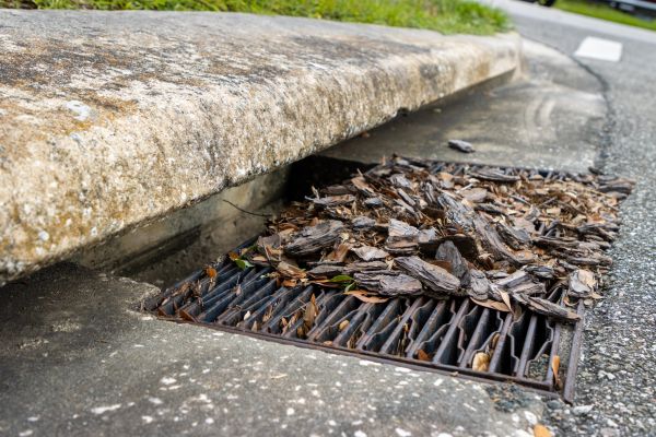 Drainage Unclogging