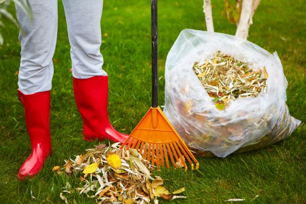 Leaf Disposal Service - Leaf Disposal Service San Antonio, Texas