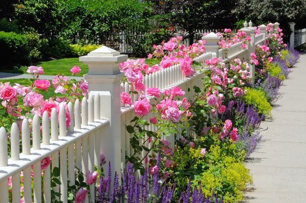 Routine Garden Maintenance