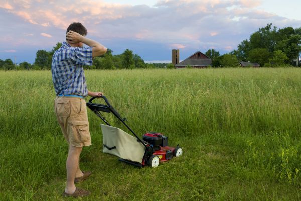 Overgrown Yard Maintenance - Overgrown Yard Maintenance Pasco County, Florida