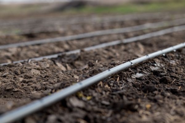 Drip Irrigation Installation - Drip Irrigation Installation Minneapolis, Minnesota