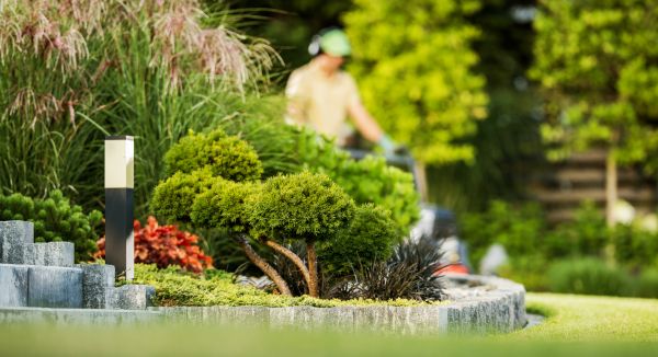 Residential Yard Maintenance - Residential Yard Maintenance Murfreesboro, Tennessee