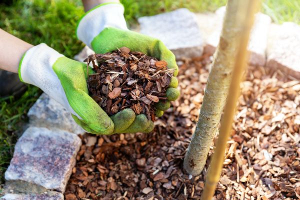 Pine Bark Mulching - Pine Bark Mulching Raleigh, North Carolina