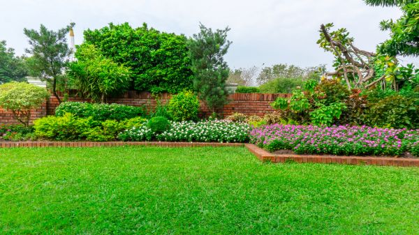 Yard Renovation