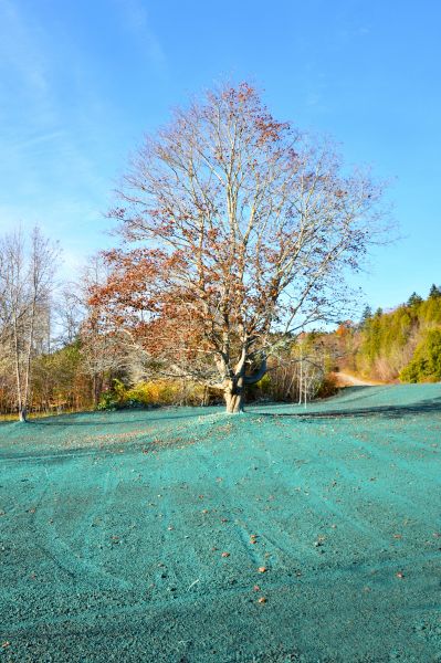 Commercial Hydroseeding