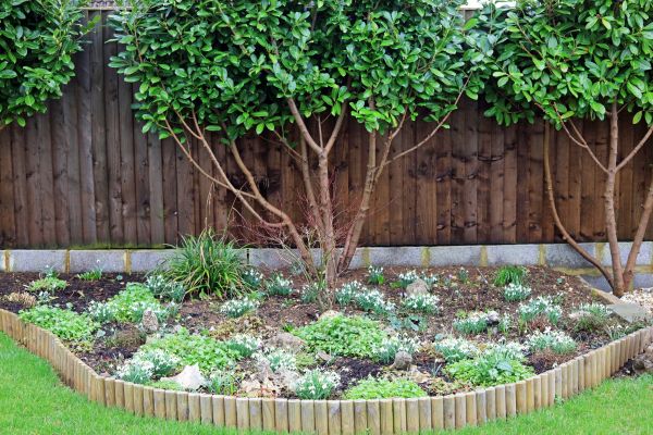 Garden Border Edging