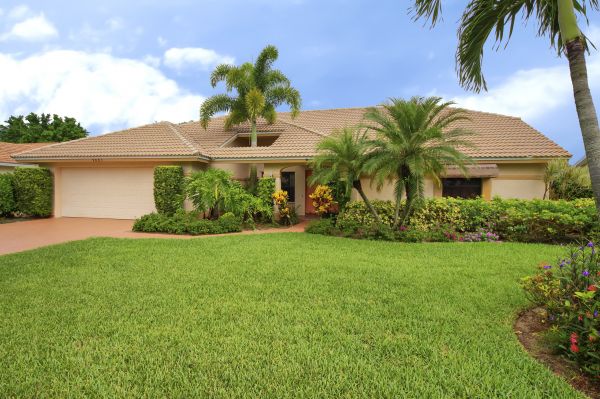 Palm Tree Removal Service - Palm Tree Removal Service San Luis Obispo County, California