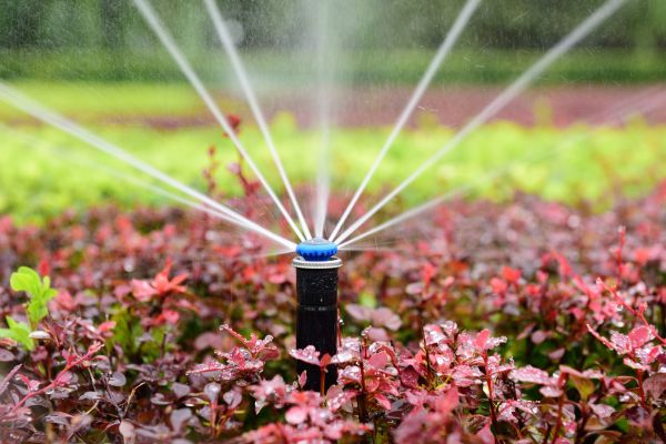 Sprinkler Installation