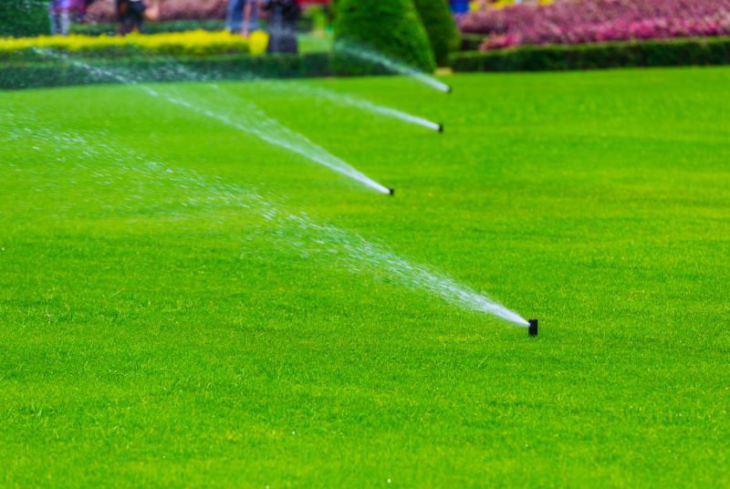 Improve the Aesthetics of the Landscape!