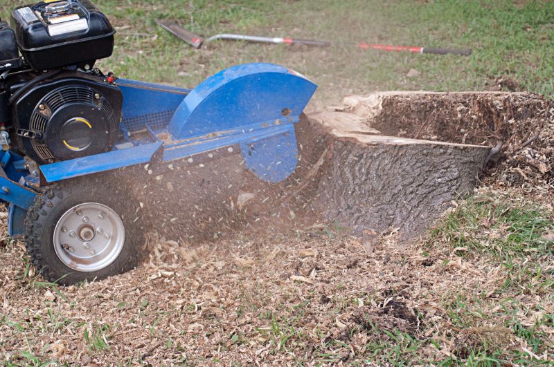 Improve the Overall Appearance of the Property with Tree and Stump Removal!