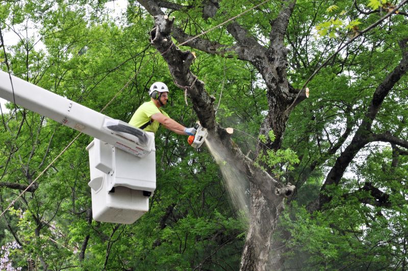 Improve the Health of the Tree!