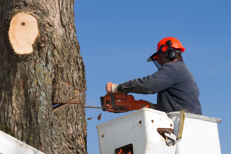 Improve Tree Aesthetics!