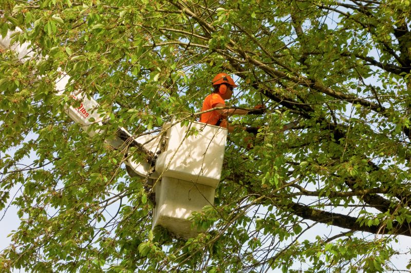 Prevent Property Damage!